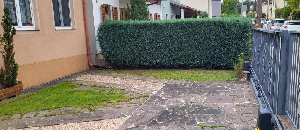 Gepflegter Garten mit Hecke